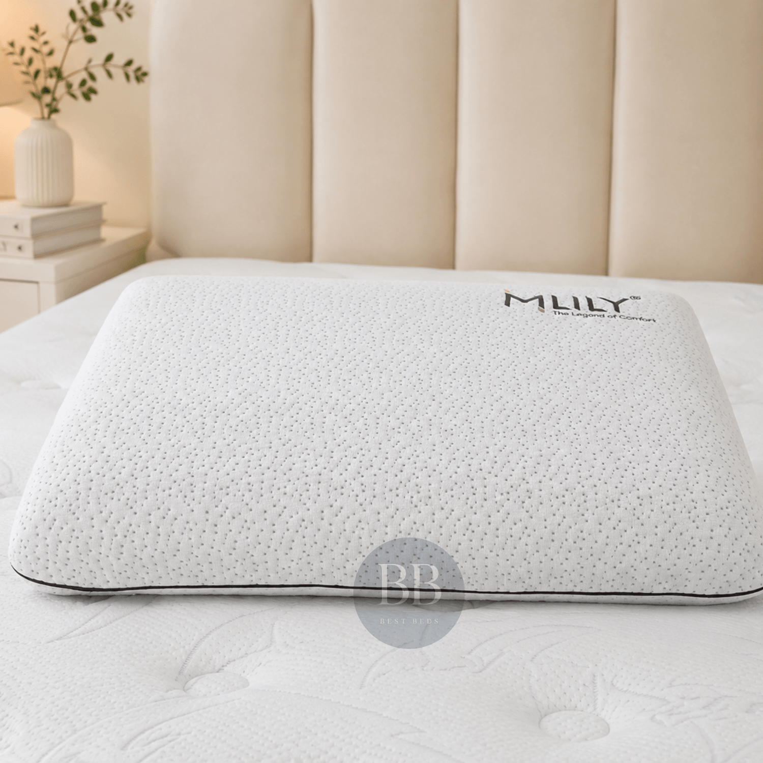 MLILY Bamboo Charcoal Traditional Pillow